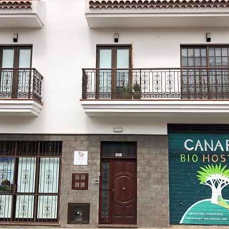 Canary Bio Hostel Tenerife Лос-Реалехос Экстерьер фото