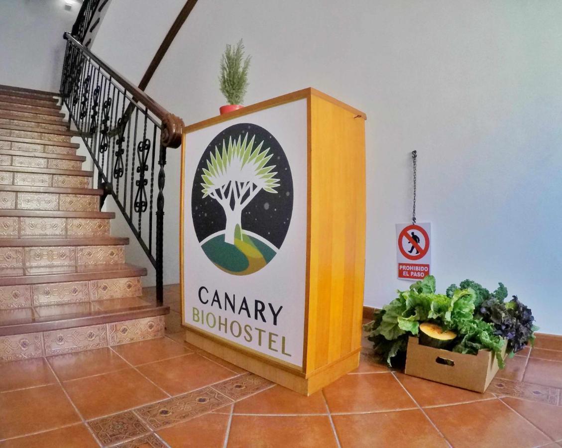 Canary Bio Hostel Tenerife Лос-Реалехос Экстерьер фото