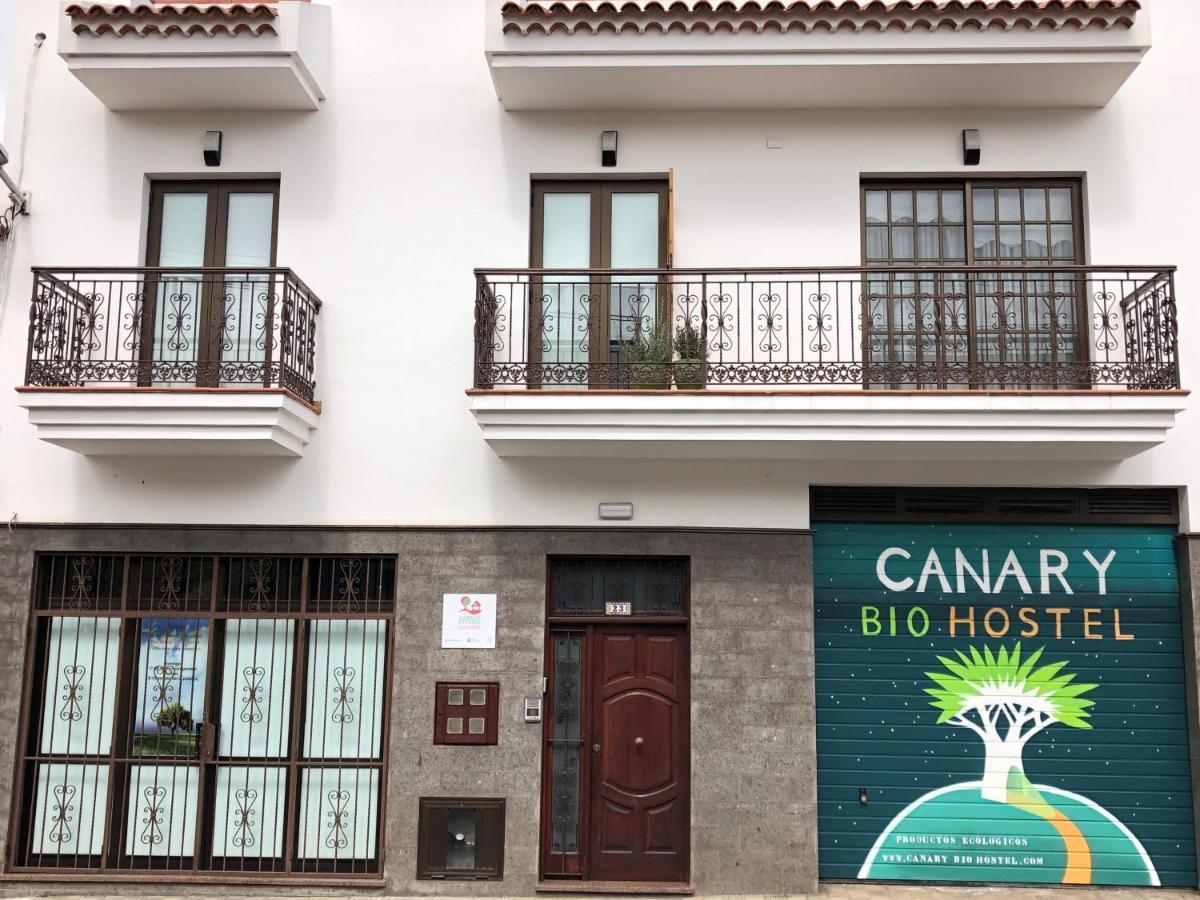 Canary Bio Hostel Tenerife Лос-Реалехос Экстерьер фото